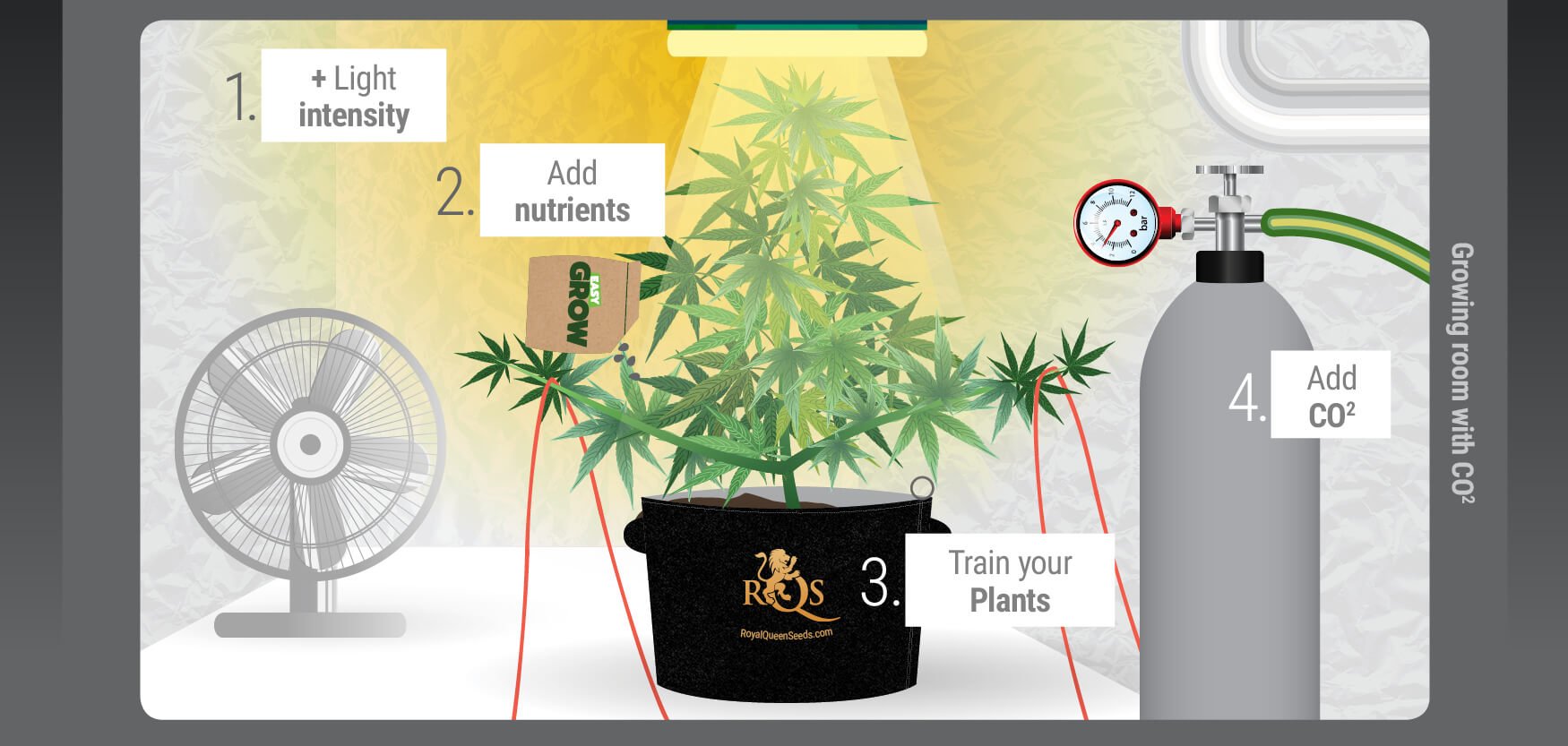 Homemade co2 for cannabis